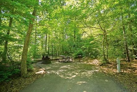 5 Amazing Features of Arrowhead Campground for Unforgettable Outdoor Adventure