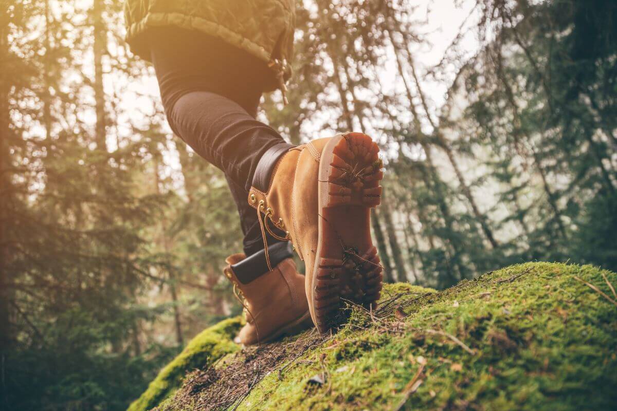 5 Essential Tips to Pick Your Perfect Camping Shoes
