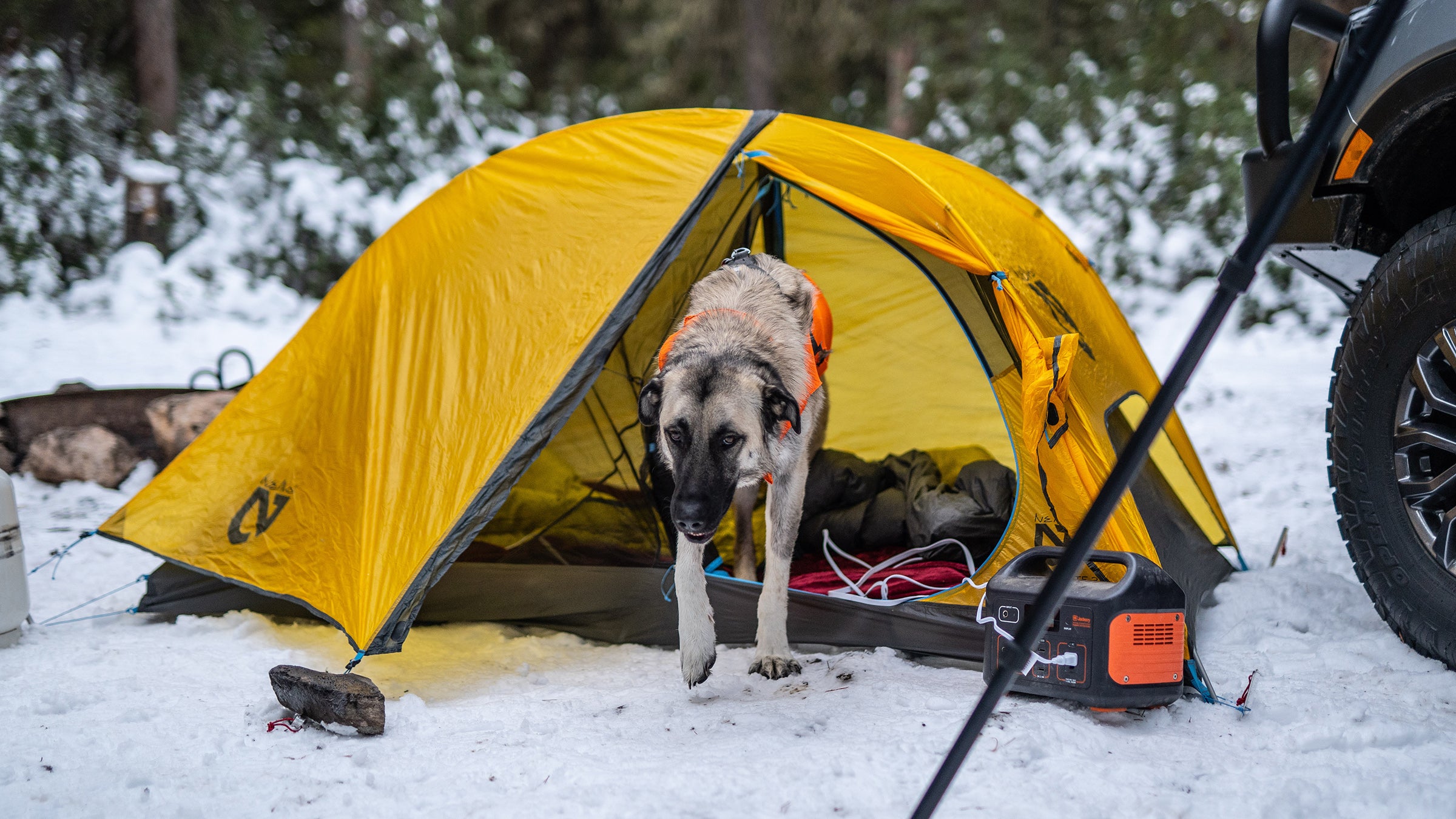 5 Essential Tips for Choosing the Best Camping Heater