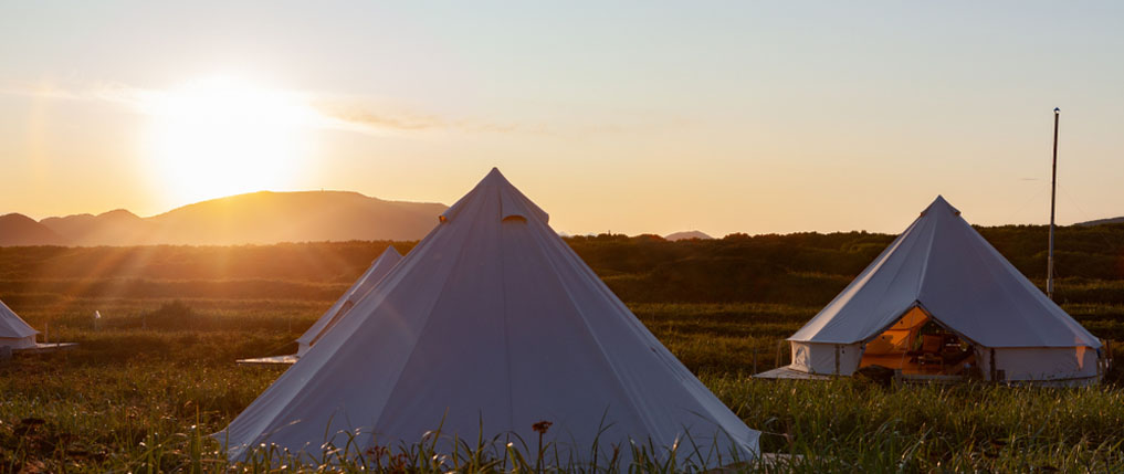 Outdoor Camping vs Glamping: Top 5 Differences to Grok!