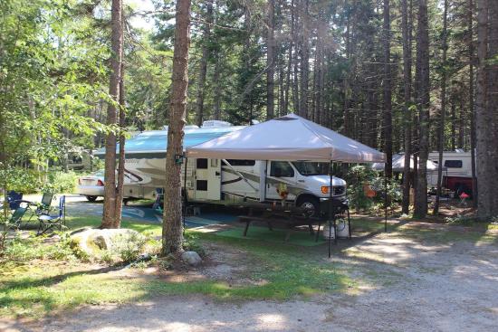 5 Reasons Sherwood Forest Campground Is Your Perfect Getaway